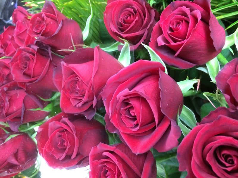 勝負！真紅の薔薇づくしの商品写真 3