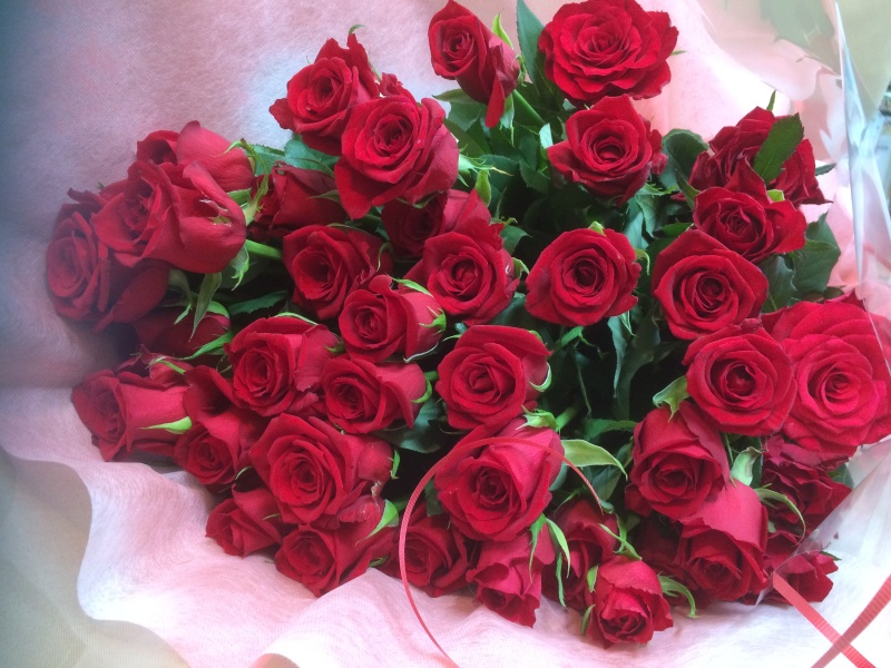 ネイト|赤系の花束
