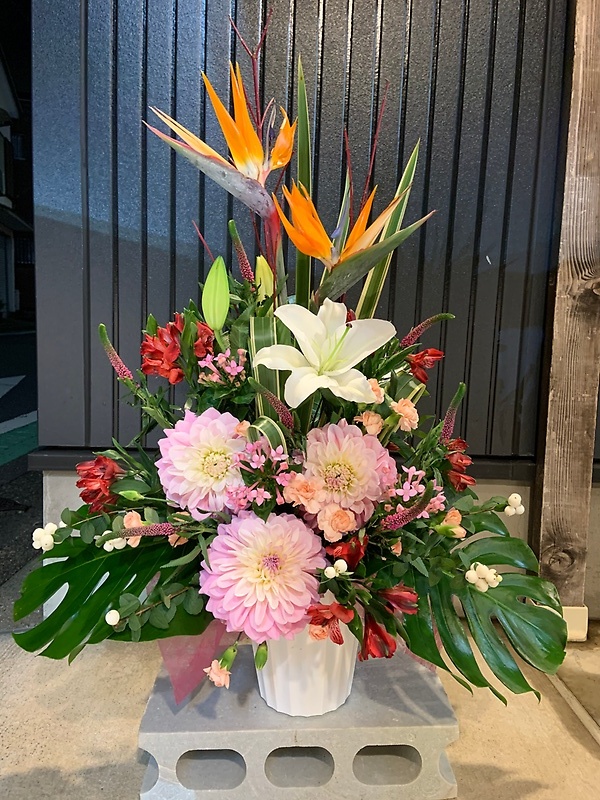スタイリッシュなお祝いアレンジメント|11,000円