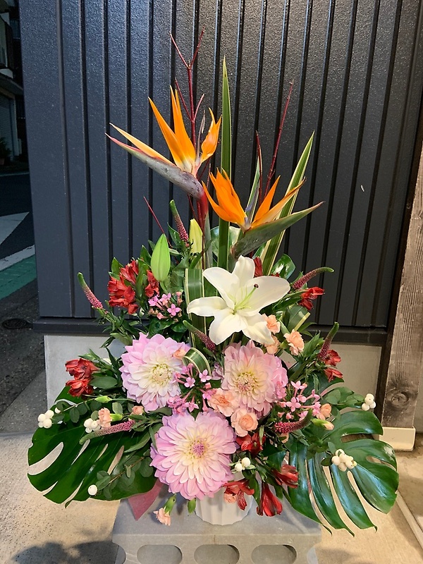 スタイリッシュなお祝いアレンジメント｜11,000円の商品写真 3