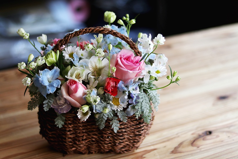 Gentle spring breeze~優しい春風~の商品写真 2