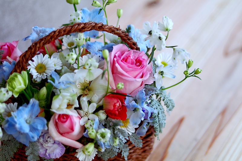 Gentle spring breeze~優しい春風~の商品写真 3